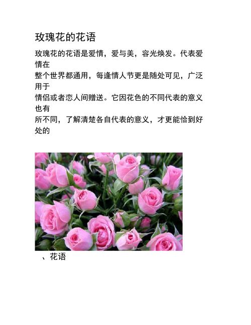 送花的讲究红白玫瑰(红白玫瑰一起送)-第2张图片-花花知道网 送花的讲究红白玫瑰(红白玫瑰一起送)-第2张图片-花花知道网