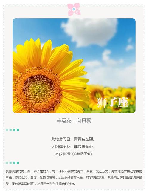 幸运鲜花花语(幸运花卉)-第1张图片-花花知道网 幸运鲜花花语(幸运花卉)-第1张图片-花花知道网