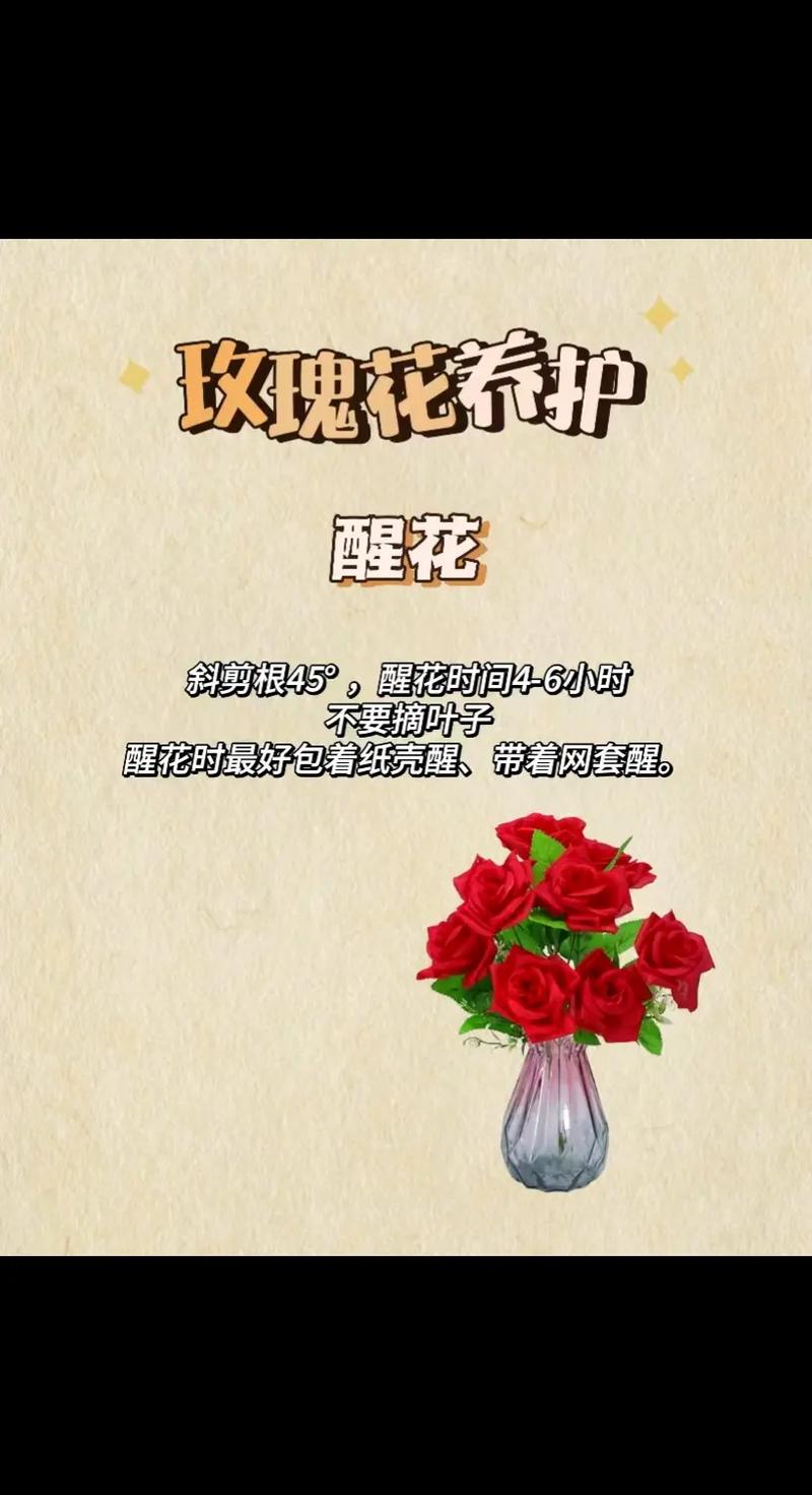 活动送花的讲究(送花活动的目的)-第4张图片-花花知道网 活动送花的讲究(送花活动的目的)-第4张图片-花花知道网