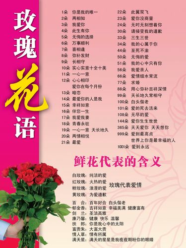 送花数字的讲究(送花数的意义)-第4张图片-花花知道网 送花数字的讲究(送花数的意义)-第4张图片-花花知道网