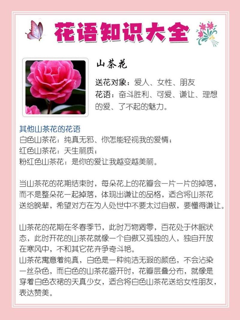 傲梅鲜花花语(傲梅官方网站)-第3张图片-花花知道网 傲梅鲜花花语(傲梅官方网站)-第3张图片-花花知道网