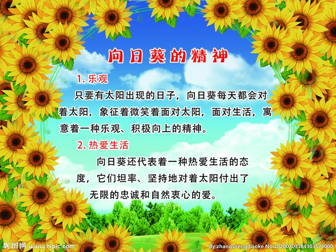9朵鲜花什么寓意好看呢(九朵鲜花)-第3张图片-花花知道网 9朵鲜花什么寓意好看呢(九朵鲜花)-第3张图片-花花知道网