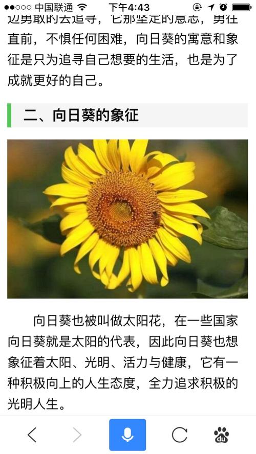 9朵鲜花什么寓意好看呢(九朵鲜花)-第4张图片-花花知道网 9朵鲜花什么寓意好看呢(九朵鲜花)-第4张图片-花花知道网