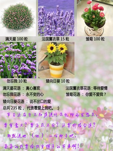 11朵鲜花代表寓意(11朵鲜花代表寓意什么)-第3张图片-花花知道网 11朵鲜花代表寓意(11朵鲜花代表寓意什么)-第3张图片-花花知道网