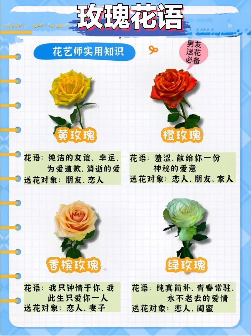 领导送花的讲究(领导送花怎么发朋友圈)-第3张图片-花花知道网 领导送花的讲究(领导送花怎么发朋友圈)-第3张图片-花花知道网