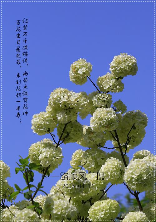 送花颜色的风水讲究(送花色系选取)-第2张图片-花花知道网 送花颜色的风水讲究(送花色系选取)-第2张图片-花花知道网