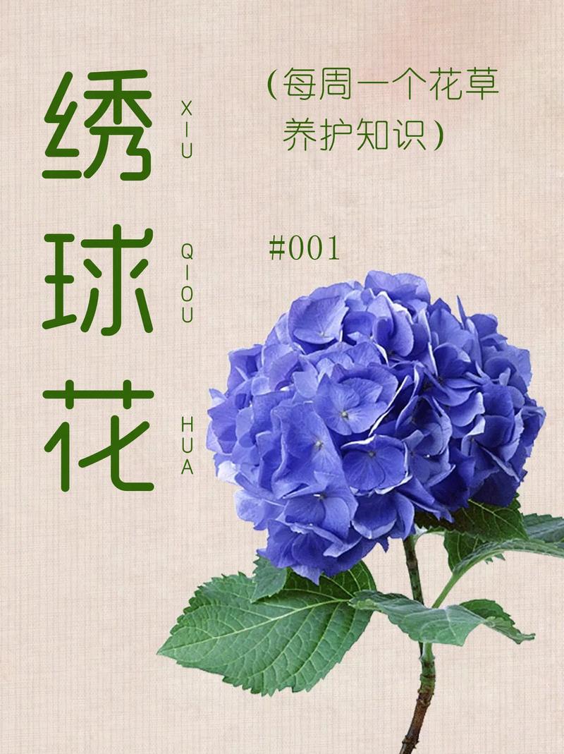 送花颜色的风水讲究(送花色系选取)-第3张图片-花花知道网 送花颜色的风水讲究(送花色系选取)-第3张图片-花花知道网
