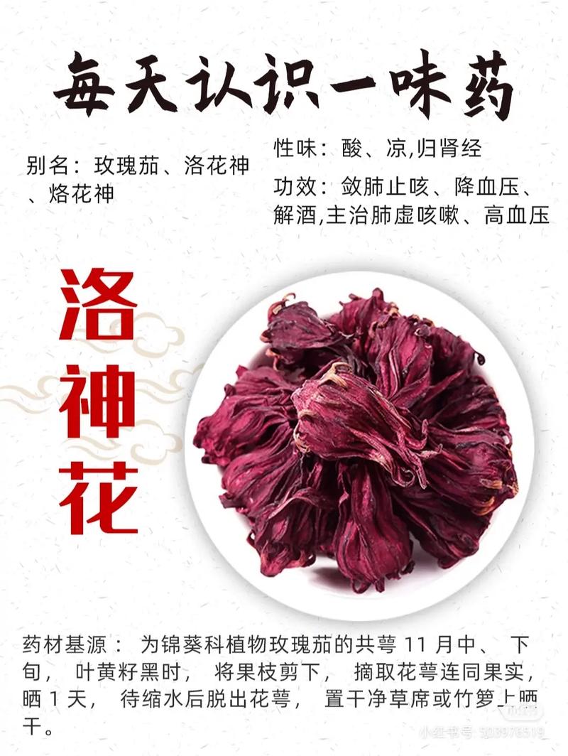 洛神鲜花花语是什么(洛神 鲜花)-第3张图片-花花知道网 洛神鲜花花语是什么(洛神 鲜花)-第3张图片-花花知道网