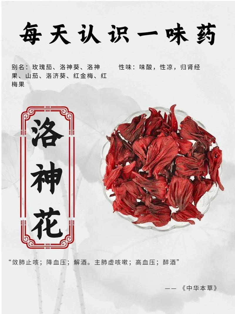 洛神鲜花花语是什么(洛神 鲜花)-第4张图片-花花知道网 洛神鲜花花语是什么(洛神 鲜花)-第4张图片-花花知道网