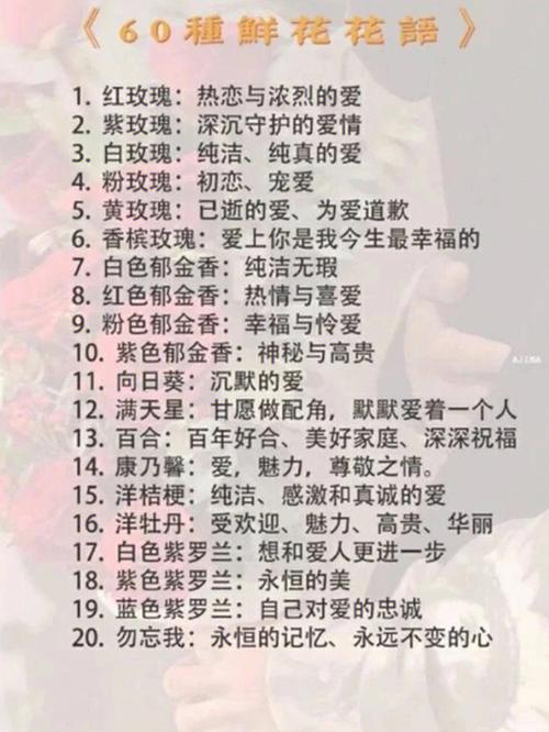 鲜花花语ppt(鲜花花语大全带图片和花名)-第3张图片-花花知道网 鲜花花语ppt(鲜花花语大全带图片和花名)-第3张图片-花花知道网
