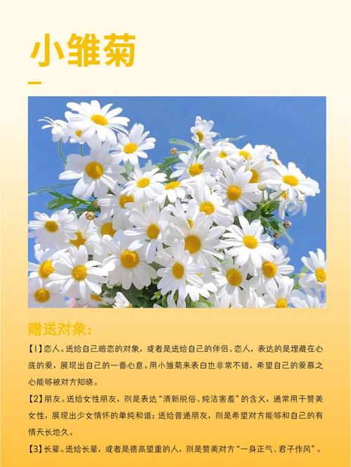 爱自己的鲜花花语是什么(爱自己的鲜花花语是什么呢)-第1张图片-花花知道网 爱自己的鲜花花语是什么(爱自己的鲜花花语是什么呢)-第1张图片-花花知道网