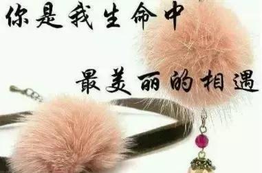 爱自己的鲜花花语是什么(爱自己的鲜花花语是什么呢)-第2张图片-花花知道网 爱自己的鲜花花语是什么(爱自己的鲜花花语是什么呢)-第2张图片-花花知道网