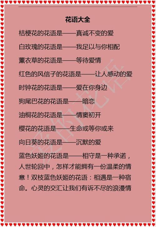 爱自己的鲜花花语是什么(爱自己的鲜花花语是什么呢)-第4张图片-花花知道网 爱自己的鲜花花语是什么(爱自己的鲜花花语是什么呢)-第4张图片-花花知道网