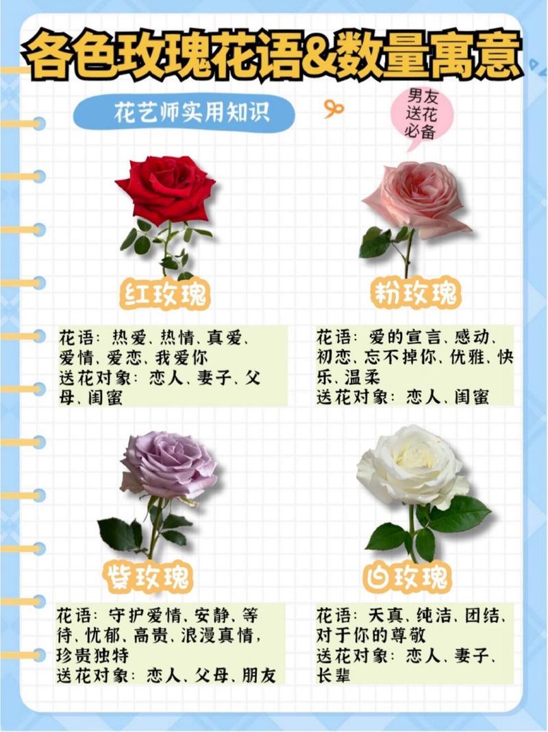 99朵求婚鲜花花束寓意(求婚用33朵还是99朵)-第3张图片-花花知道网 99朵求婚鲜花花束寓意(求婚用33朵还是99朵)-第3张图片-花花知道网
