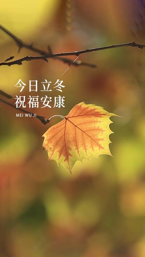 立春送花的讲究(立春送礼好吗)-第4张图片-花花知道网 立春送花的讲究(立春送礼好吗)-第4张图片-花花知道网