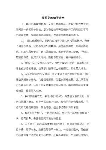 洋秸秆鲜花花语(洋秸梗花)-第1张图片-花花知道网 洋秸秆鲜花花语(洋秸梗花)-第1张图片-花花知道网