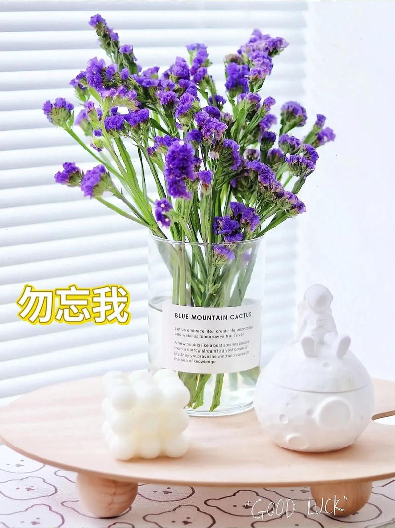 爱意永恒鲜花花语(花语永恒的爱是什么花)-第1张图片-花花知道网 爱意永恒鲜花花语(花语永恒的爱是什么花)-第1张图片-花花知道网