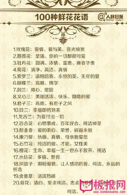 爱意永恒鲜花花语(花语永恒的爱是什么花)-第3张图片-花花知道网 爱意永恒鲜花花语(花语永恒的爱是什么花)-第3张图片-花花知道网
