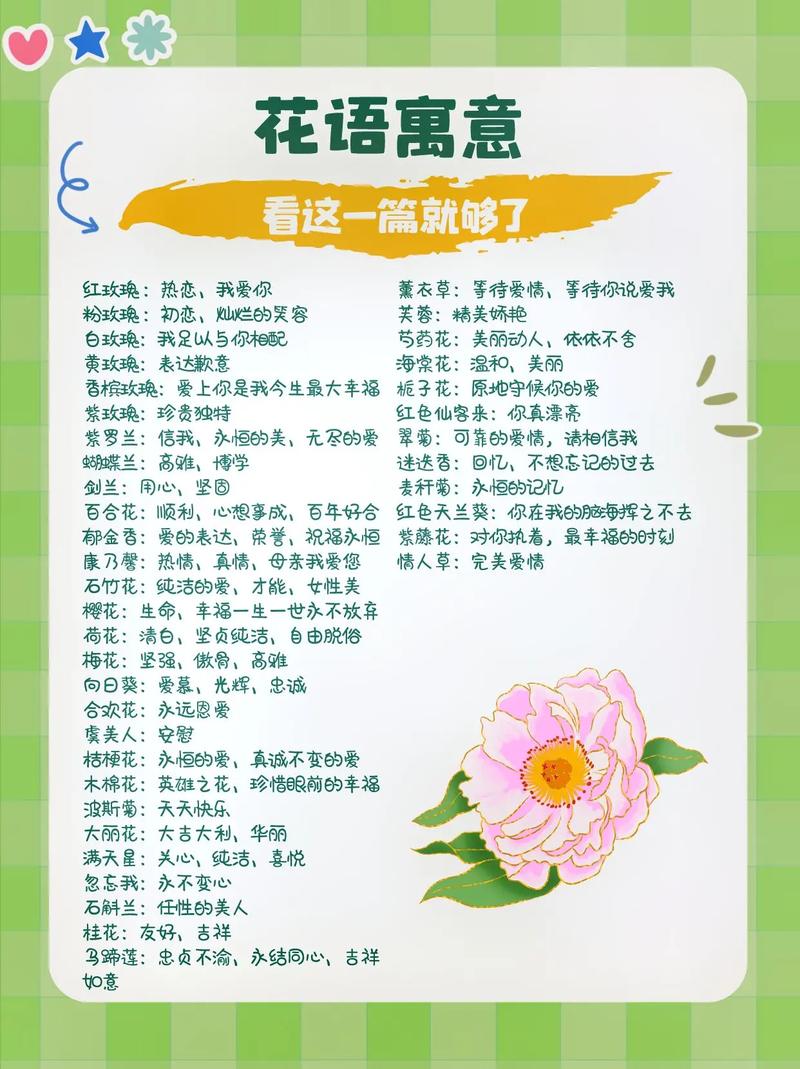 送花的讲究及感悟(送花的讲解)-第4张图片-花花知道网 送花的讲究及感悟(送花的讲解)-第4张图片-花花知道网