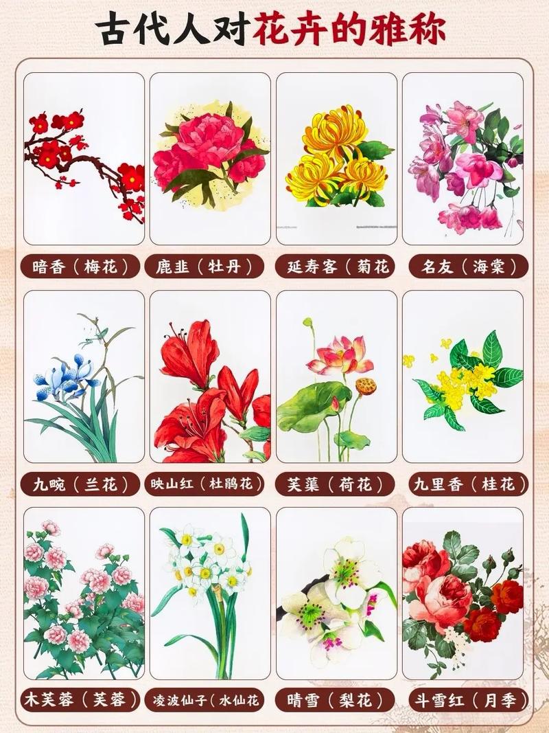 中国古代送花的讲究(中国古代送什么花)-第2张图片-花花知道网 中国古代送花的讲究(中国古代送什么花)-第2张图片-花花知道网
