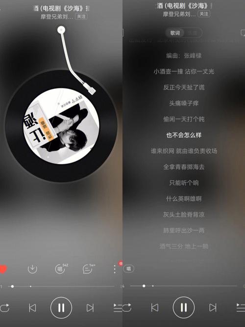 鲜花花语bgm(鲜花花语寓意及禁忌)-第5张图片-花花知道网 鲜花花语bgm(鲜花花语寓意及禁忌)-第5张图片-花花知道网
