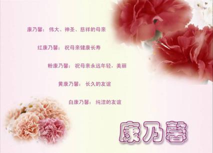 99朵红色康乃馨鲜花寓意(99朵红色康乃馨鲜花寓意着什么)-第5张图片-花花知道网 99朵红色康乃馨鲜花寓意(99朵红色康乃馨鲜花寓意着什么)-第5张图片-花花知道网