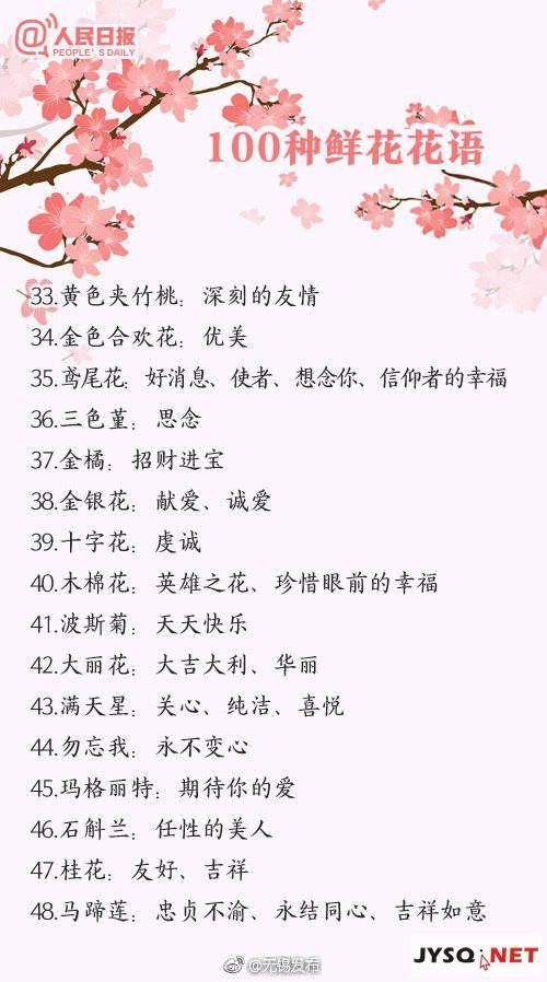 鲜花花语图文(鲜花寓意图片大全)-第5张图片-花花知道网 鲜花花语图文(鲜花寓意图片大全)-第5张图片-花花知道网