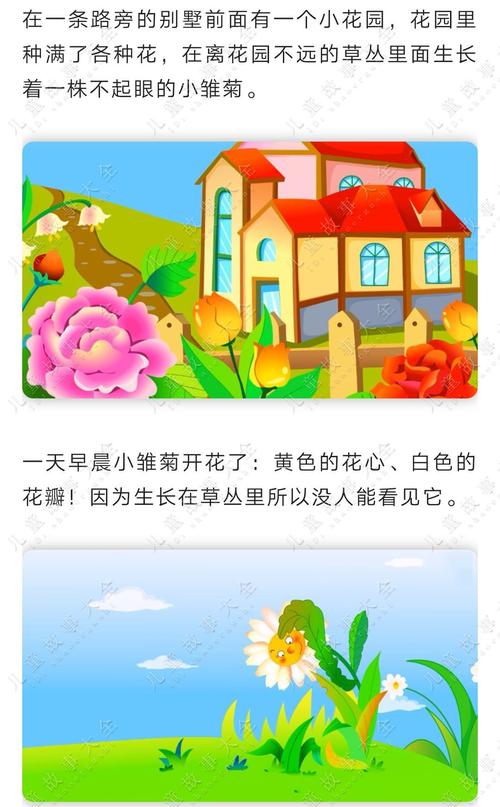 雏菊极光鲜花花语(雏菊鲜花费用)-第4张图片-花花知道网 雏菊极光鲜花花语(雏菊鲜花费用)-第4张图片-花花知道网