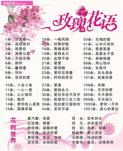送花有单双数的讲究吗(花送单数还是双数)-第6张图片-花花知道网 送花有单双数的讲究吗(花送单数还是双数)-第6张图片-花花知道网