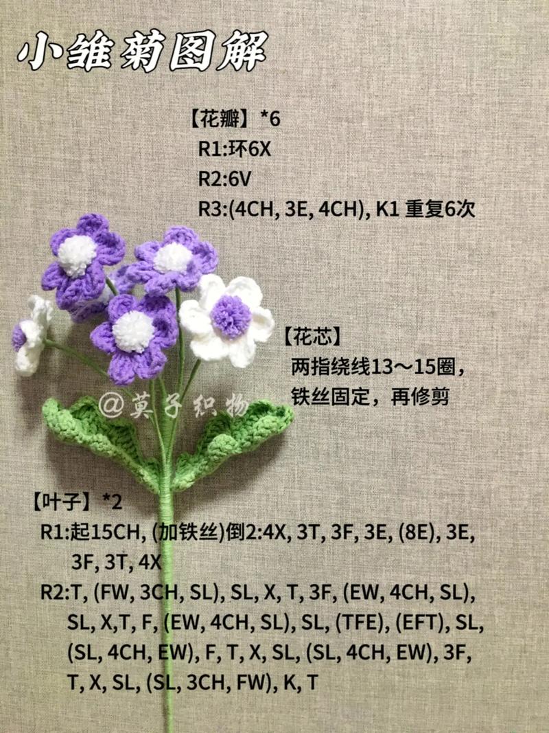 鲜花花语雏菊(花语雏菊的说说)-第5张图片-花花知道网 鲜花花语雏菊(花语雏菊的说说)-第5张图片-花花知道网