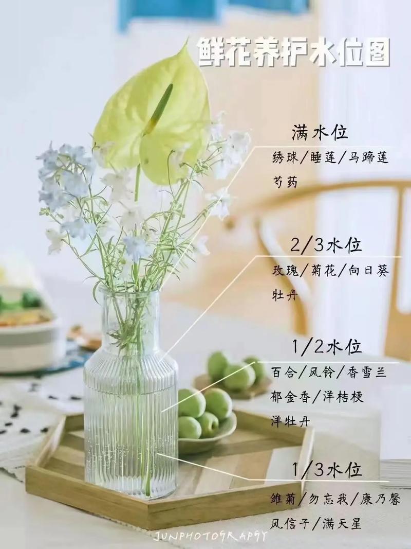 做客送花的讲究(做客送花的讲究是什么)-第3张图片-花花知道网 做客送花的讲究(做客送花的讲究是什么)-第3张图片-花花知道网