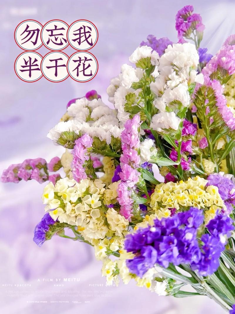 勿忘我鲜花花语(勿忘我鲜花代表什么)-第1张图片-花花知道网 勿忘我鲜花花语(勿忘我鲜花代表什么)-第1张图片-花花知道网