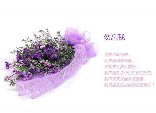勿忘我鲜花花语(勿忘我鲜花代表什么)-第3张图片-花花知道网 勿忘我鲜花花语(勿忘我鲜花代表什么)-第3张图片-花花知道网