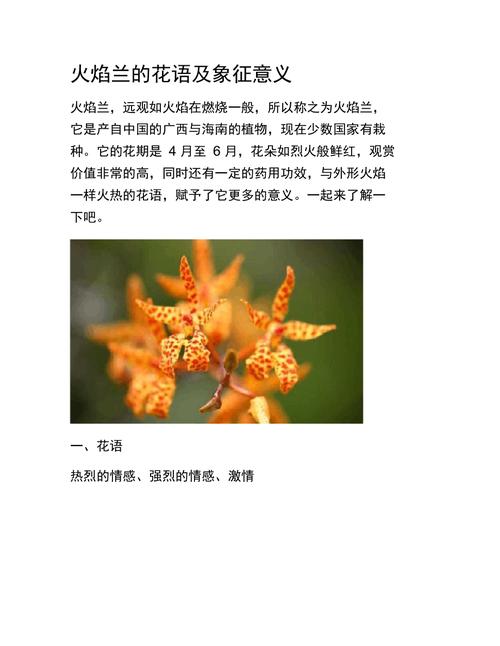 鲜花花草花语(鲜花花语及禁忌)-第1张图片-花花知道网 鲜花花草花语(鲜花花语及禁忌)-第1张图片-花花知道网