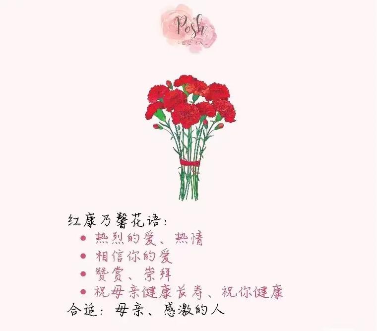 9枝鲜花的寓意(鲜花9朵代表什么意思)-第5张图片-花花知道网 9枝鲜花的寓意(鲜花9朵代表什么意思)-第5张图片-花花知道网