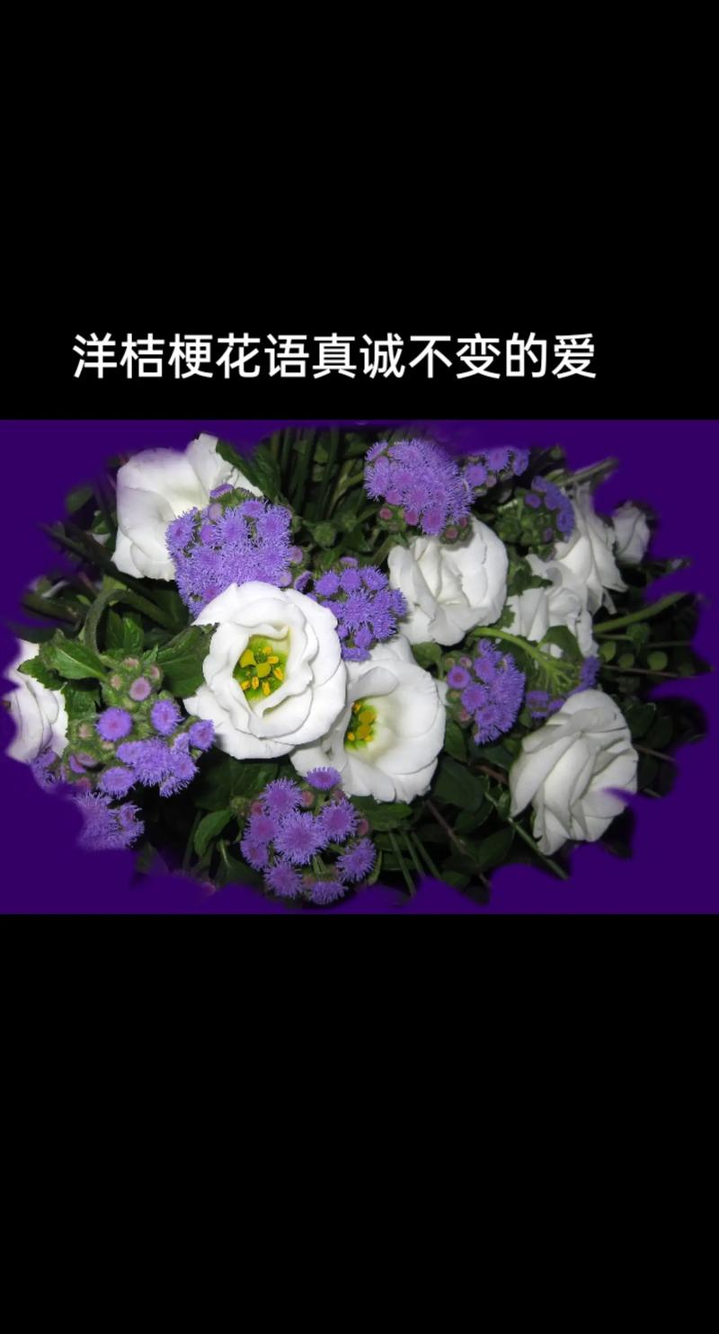 鲜花花语大全寓意爱情(一百种鲜花花语)-第2张图片-花花知道网 鲜花花语大全寓意爱情(一百种鲜花花语)-第2张图片-花花知道网