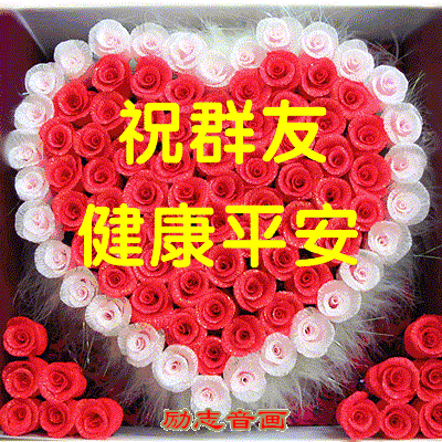 元旦鲜花花语(元旦花朵图片大全)-第2张图片-花花知道网 元旦鲜花花语(元旦花朵图片大全)-第2张图片-花花知道网