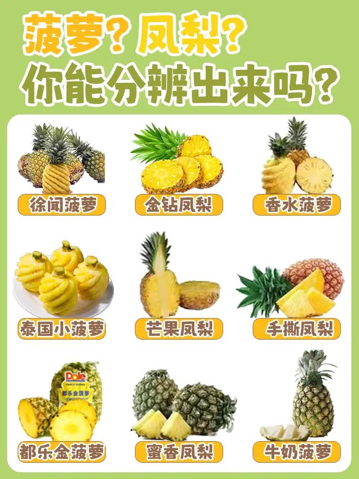 菠萝鲜花花语(菠萝花的图案)-第2张图片-花花知道网 菠萝鲜花花语(菠萝花的图案)-第2张图片-花花知道网