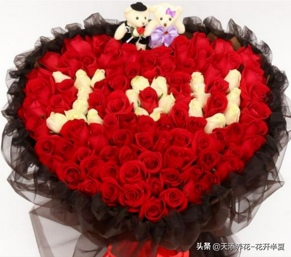 6朵红玫瑰鲜花寓意(6朵红玫瑰的含义)-第4张图片-花花知道网 6朵红玫瑰鲜花寓意(6朵红玫瑰的含义)-第4张图片-花花知道网