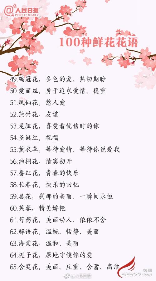 23颗草莓鲜花花语(22颗草莓花束的花语)-第6张图片-花花知道网 23颗草莓鲜花花语(22颗草莓花束的花语)-第6张图片-花花知道网