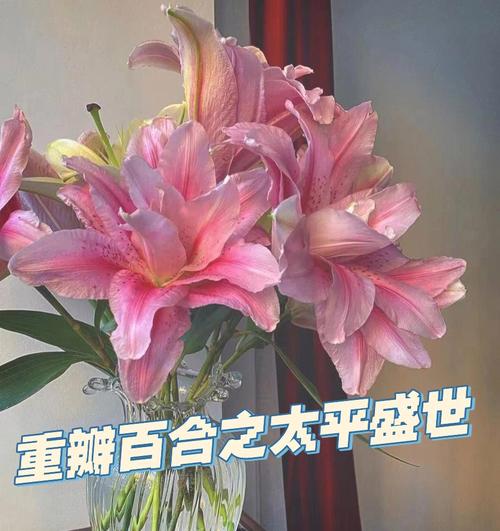 白菜鲜花花语(大白菜花语)-第4张图片-花花知道网 白菜鲜花花语(大白菜花语)-第4张图片-花花知道网