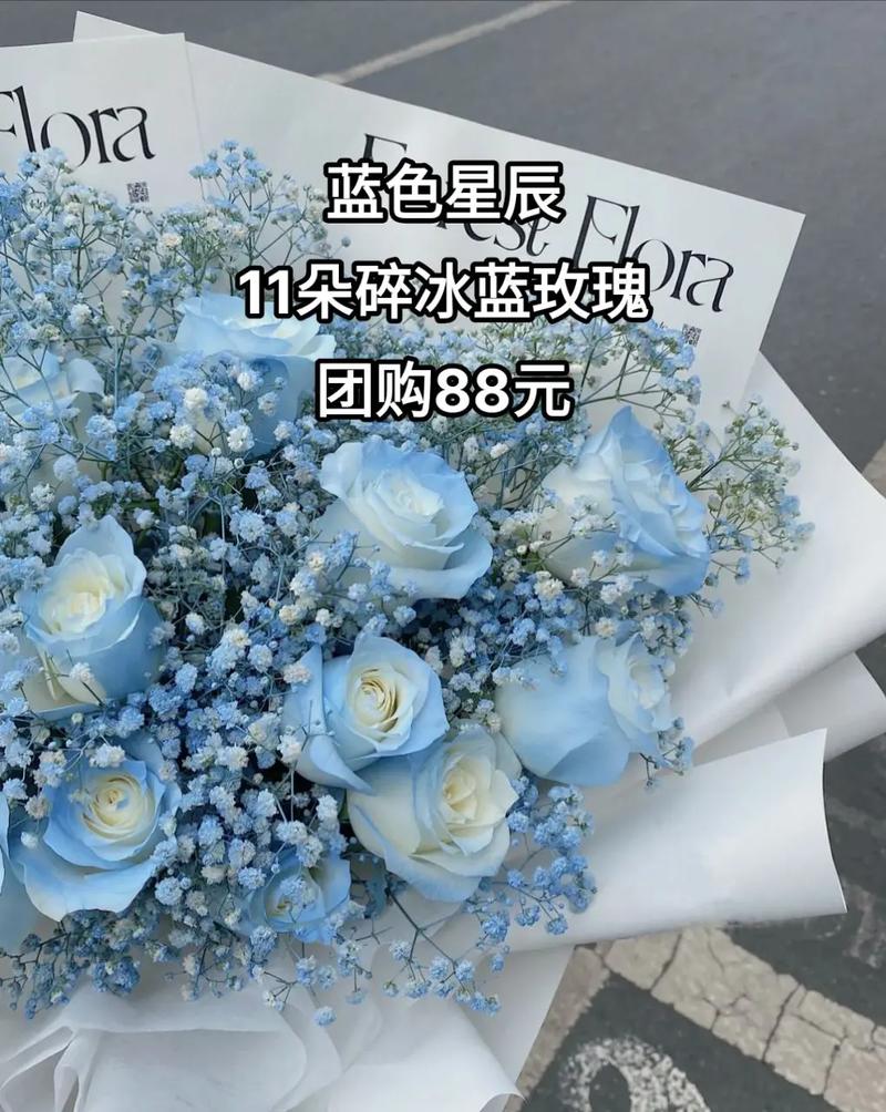 11只星辰大海鲜花花语(星辰大海玫瑰花)-第2张图片-花花知道网 11只星辰大海鲜花花语(星辰大海玫瑰花)-第2张图片-花花知道网