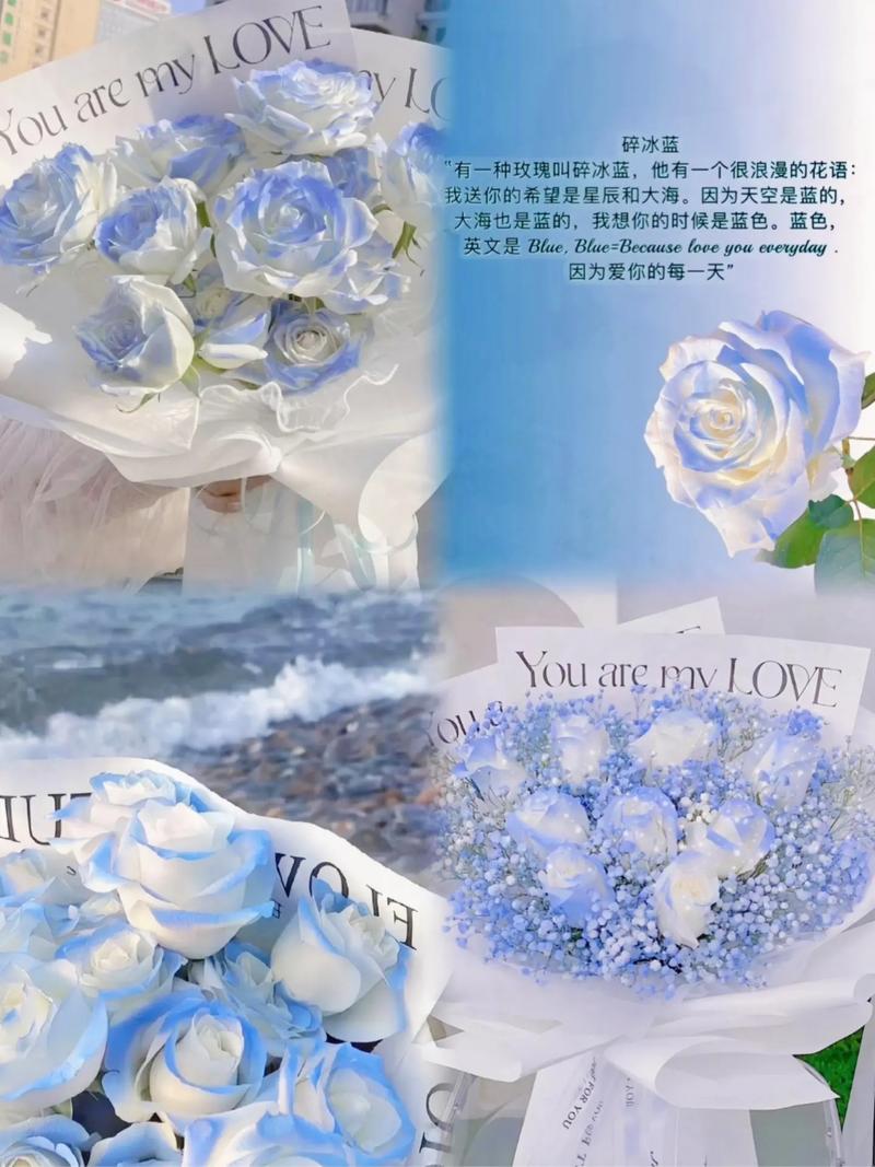 11只星辰大海鲜花花语(星辰大海玫瑰花)-第4张图片-花花知道网 11只星辰大海鲜花花语(星辰大海玫瑰花)-第4张图片-花花知道网