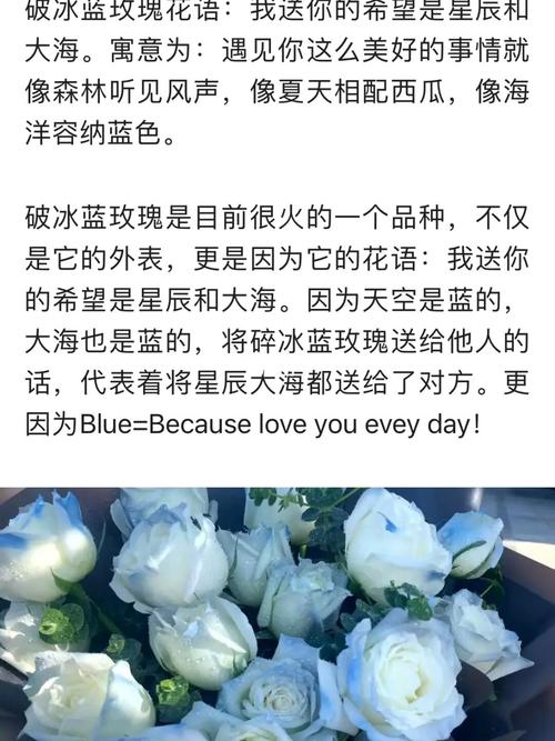 11只星辰大海鲜花花语(星辰大海玫瑰花)-第8张图片-花花知道网 11只星辰大海鲜花花语(星辰大海玫瑰花)-第8张图片-花花知道网