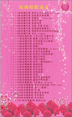 30支鲜花寓意(鲜花33支代表什么)-第3张图片-花花知道网 30支鲜花寓意(鲜花33支代表什么)-第3张图片-花花知道网