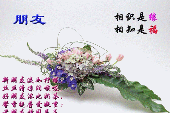 友情鲜花花语(表达友情的鲜花是什么鲜花)-第2张图片-花花知道网 友情鲜花花语(表达友情的鲜花是什么鲜花)-第2张图片-花花知道网