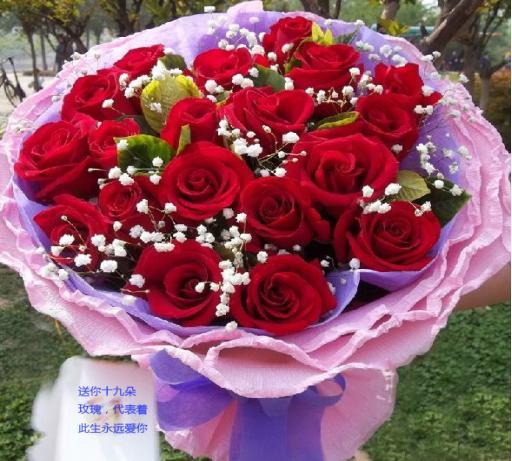 19朵红玫瑰鲜花花语寓意(19朵红玫瑰图片)-第5张图片-花花知道网 19朵红玫瑰鲜花花语寓意(19朵红玫瑰图片)-第5张图片-花花知道网