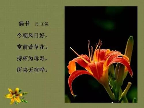 母亲鲜花花语(母亲节鲜花寓意)-第1张图片-花花知道网 母亲鲜花花语(母亲节鲜花寓意)-第1张图片-花花知道网