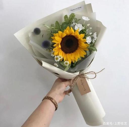 送给男生鲜花花语和寓意(送给男生鲜花花语和寓意图片)-第6张图片-花花知道网 送给男生鲜花花语和寓意(送给男生鲜花花语和寓意图片)-第6张图片-花花知道网
