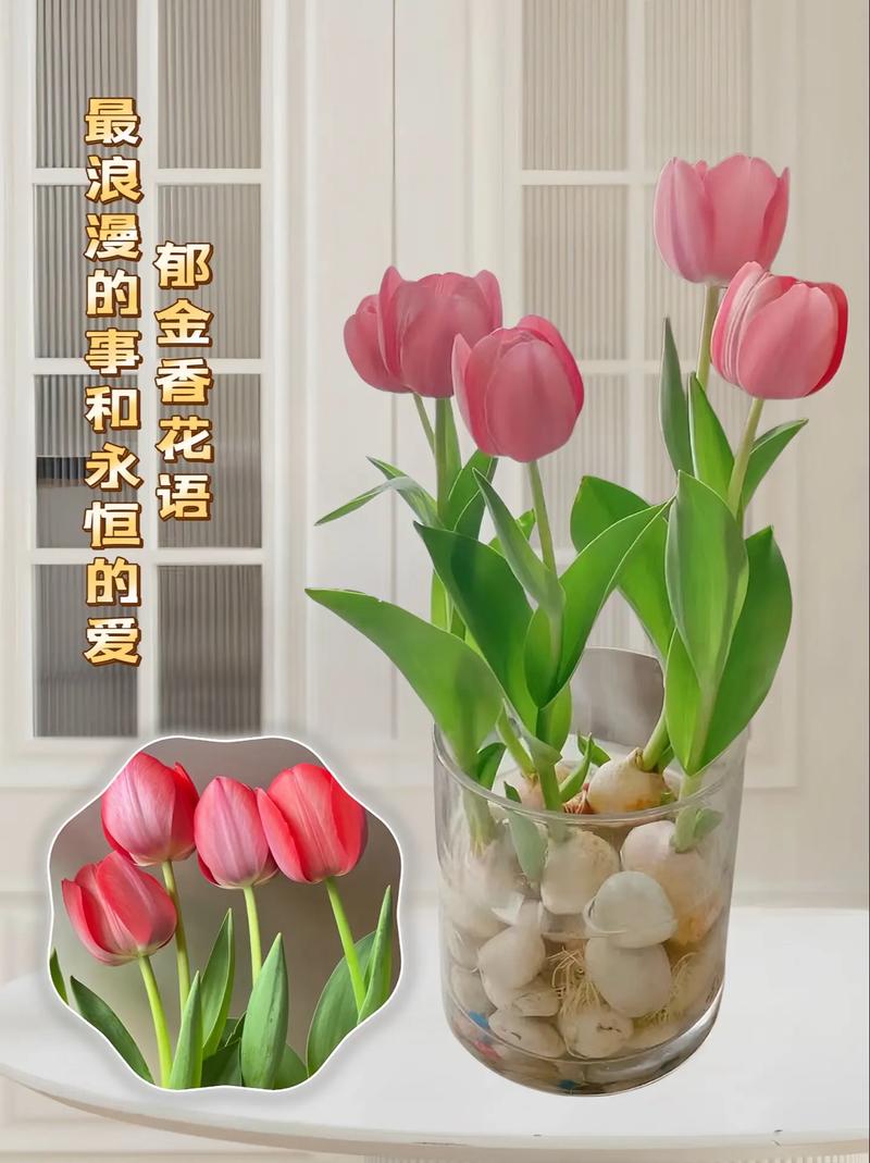 鲜花花束图片花语(鲜花束图片大全花束高清)-第5张图片-花花知道网 鲜花花束图片花语(鲜花束图片大全花束高清)-第5张图片-花花知道网